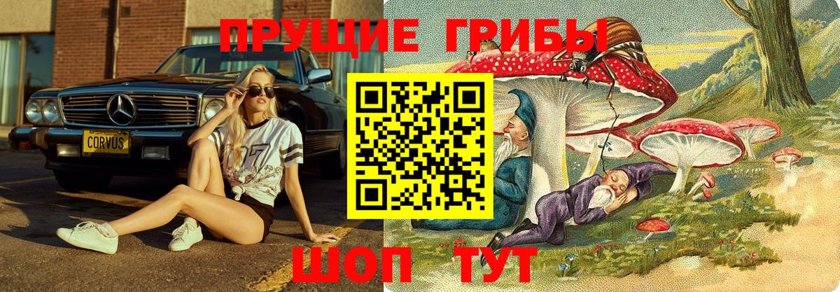 Псилоцибиновые грибы GOLDEN TEACHER Углич