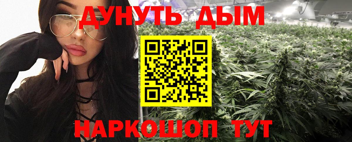 Шишки марихуана ГИДРОПОН  Каннабис Ganja  Углич  Конопля план  Вход с VPN 